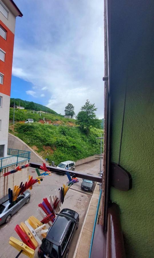 Apartman Pavle Plužine Dış mekan fotoğraf
