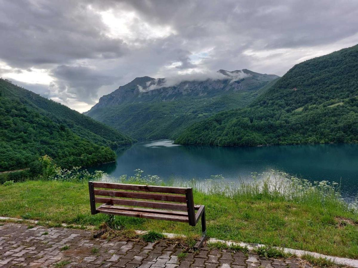 Apartman Pavle Plužine Dış mekan fotoğraf
