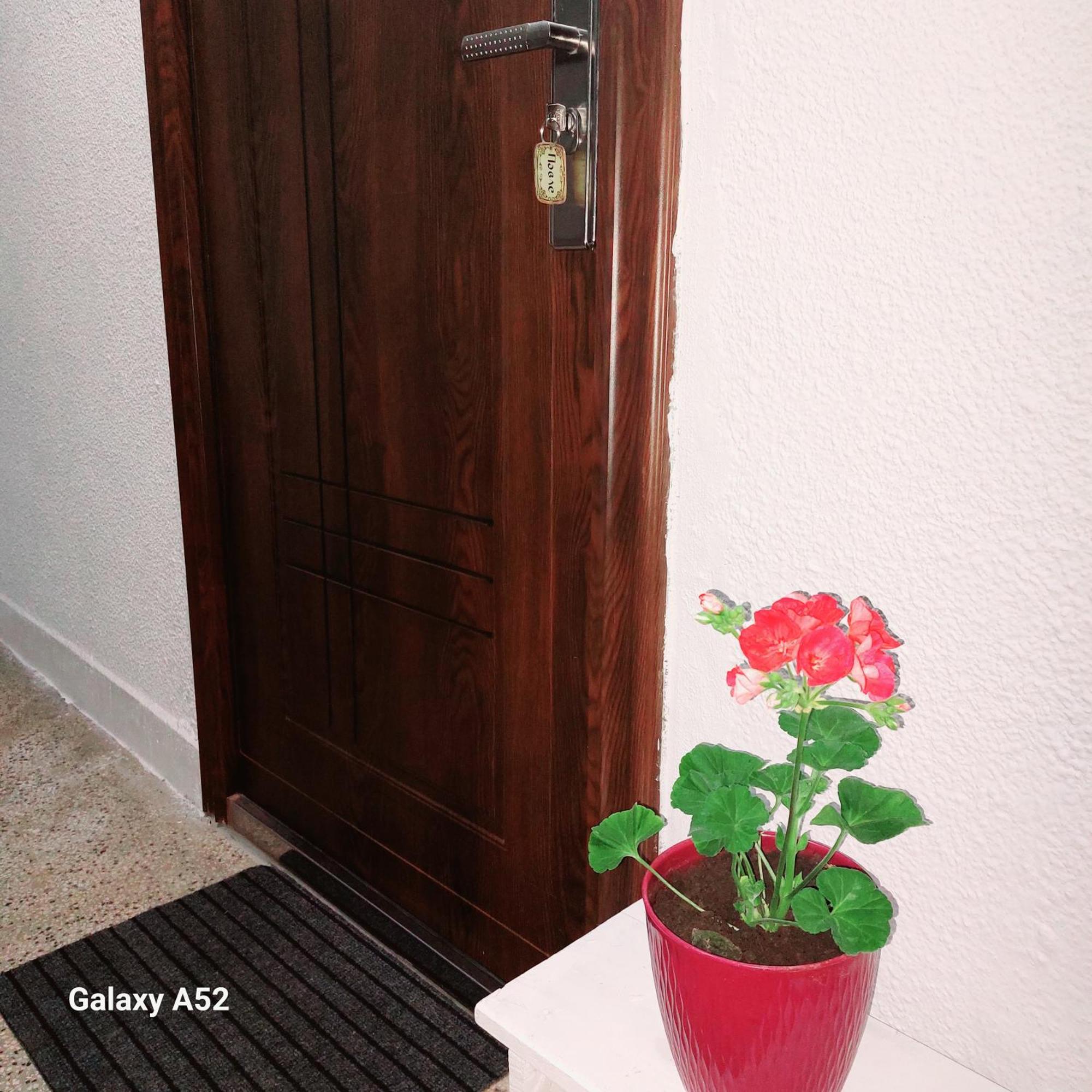 Apartman Pavle Plužine Dış mekan fotoğraf