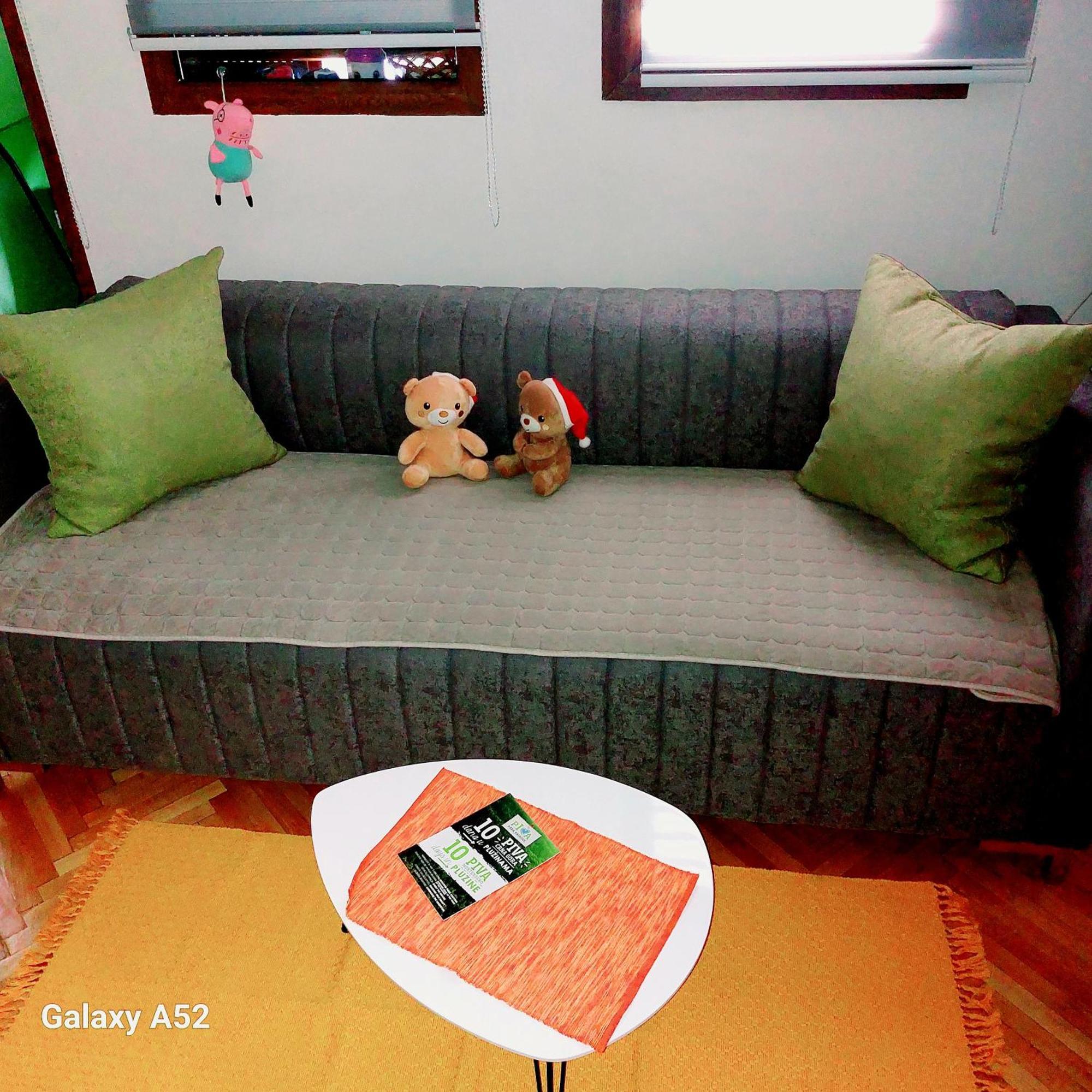 Apartman Pavle Plužine Dış mekan fotoğraf